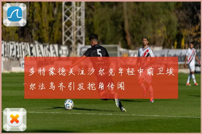 多特蒙德关注沙尔克年轻中前卫埃尔法乌齐引发挖角传闻